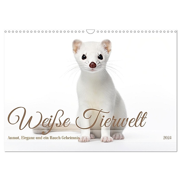 Weiße Tierwelt (Wandkalender 2024 DIN A3 quer), CALVENDO Monatskalender, Daniela Tapper