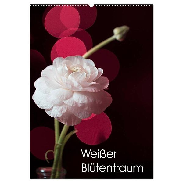 Weisser Blütentraum (Wandkalender 2024 DIN A2 hoch), CALVENDO Monatskalender, Ulrike Adam