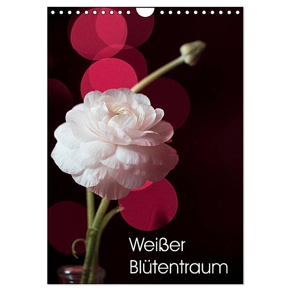 Weisser Blütentraum (Wandkalender 2024 DIN A4 hoch), CALVENDO Monatskalender, Ulrike Adam