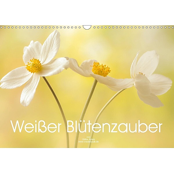 Weisser Blütenzauber (Wandkalender 2021 DIN A3 quer), Ulrike Adam