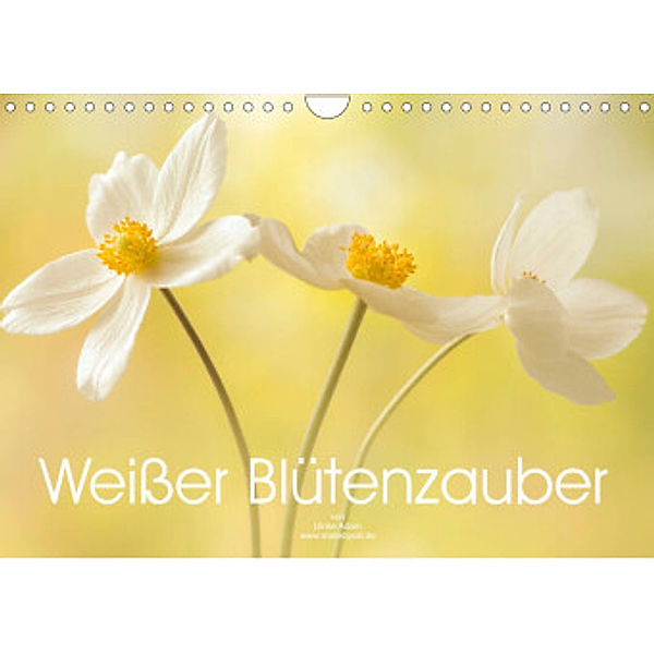 Weißer Blütenzauber (Wandkalender 2022 DIN A4 quer), Ulrike Adam