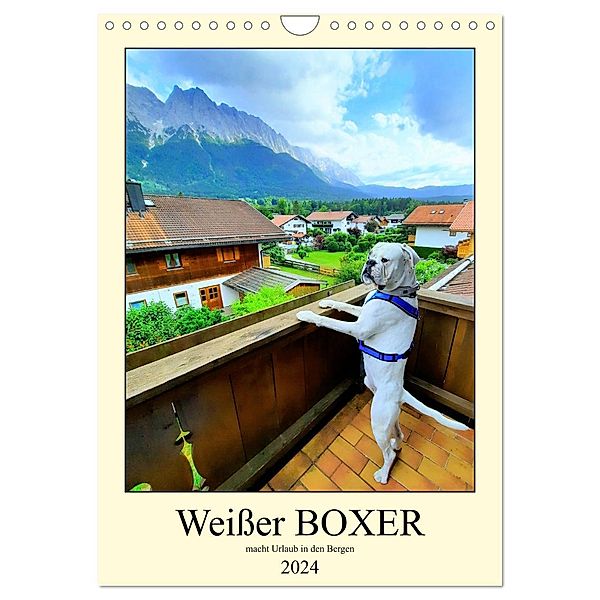Weißer BOXER im Urlaub (Wandkalender 2024 DIN A4 hoch), CALVENDO Monatskalender, Calvendo, Manuela L.