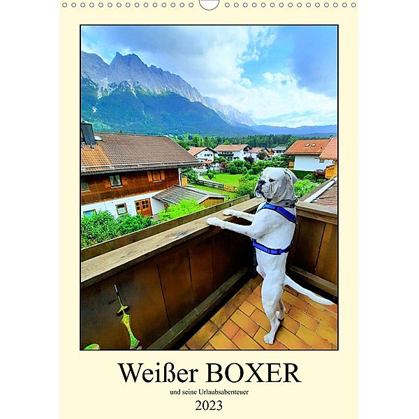 Weißer BOXER (Wandkalender 2023 DIN A3 hoch), Manuela L.