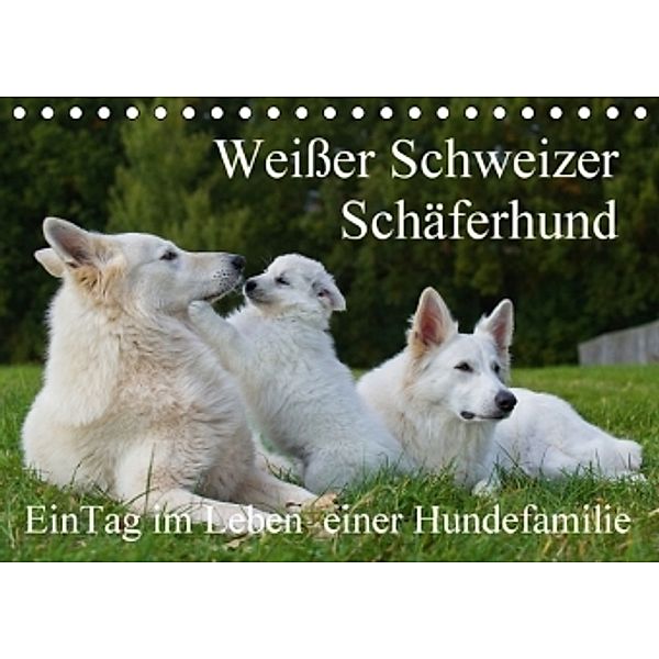 Weißer Schweizer Schäferhund - Ein Tag im Leben einer Hundefamilie (Tischkalender 2015 DIN A5 quer), Sigrid Starick