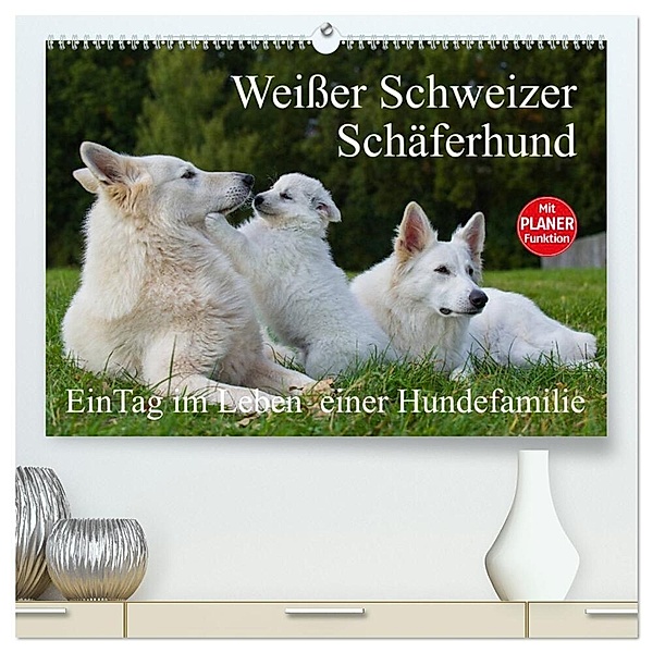Weißer Schweizer Schäferhund - Ein Tag im Leben einer Hundefamilie (hochwertiger Premium Wandkalender 2024 DIN A2 quer), Kunstdruck in Hochglanz, Sigrid Starick
