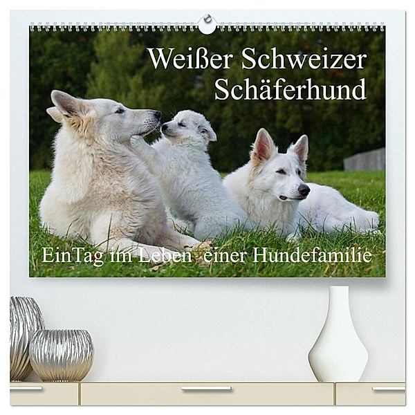 Weisser Schweizer Schäferhund - Ein Tag im Leben einer Hundefamilie (hochwertiger Premium Wandkalender 2024 DIN A2 quer), Kunstdruck in Hochglanz, Sigrid Starick