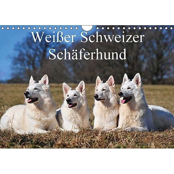 Weißer Schweizer Schäferhund (Wandkalender 2018 DIN A4 quer), Sigrid Starick