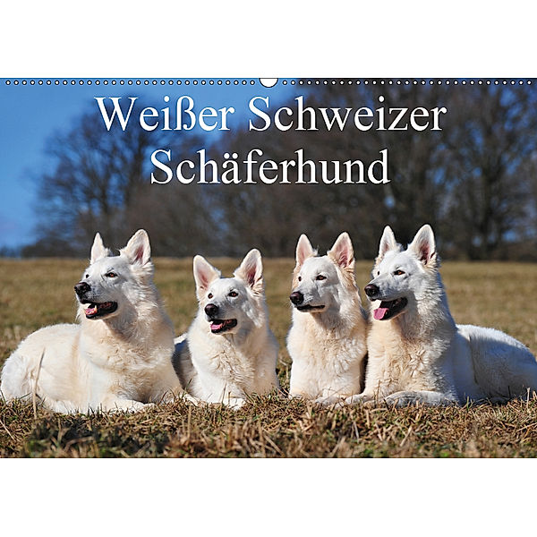 Weißer Schweizer Schäferhund (Wandkalender 2019 DIN A2 quer), Sigrid Starick