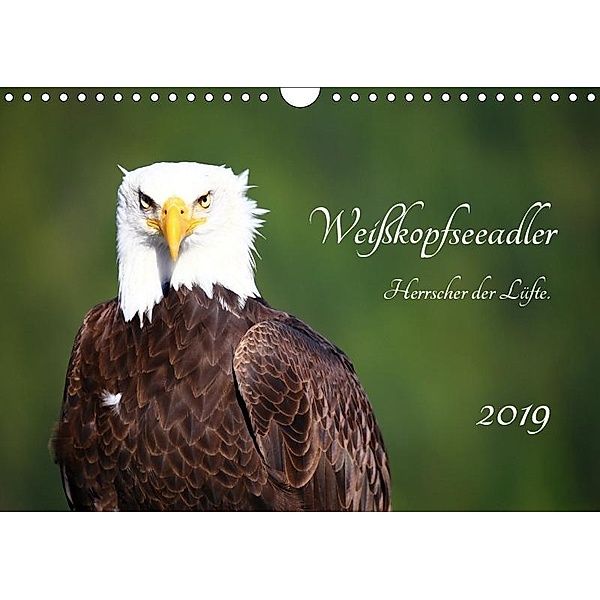 Weisskopfseeadler. Herrscher der Lüfte. 2019 (Wandkalender 2019 DIN A4 quer), Holm Anders