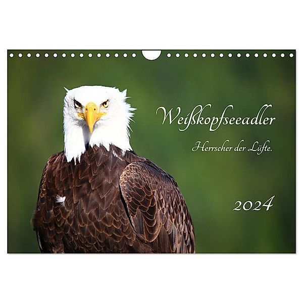 Weisskopfseeadler. Herrscher der Lüfte. 2024 (Wandkalender 2024 DIN A4 quer), CALVENDO Monatskalender, Holm Anders