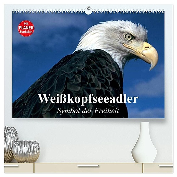 Weisskopfseeadler. Symbol der Freiheit (hochwertiger Premium Wandkalender 2024 DIN A2 quer), Kunstdruck in Hochglanz, Elisabeth Stanzer