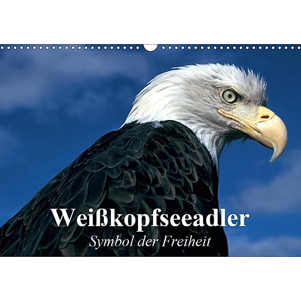 Weißkopfseeadler. Symbol der Freiheit (Wandkalender 2020 DIN A3 quer), Elisabeth Stanzer