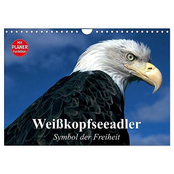 Weißkopfseeadler. Symbol der Freiheit (Wandkalender 2024 DIN A4 quer), CALVENDO Monatskalender, Elisabeth Stanzer