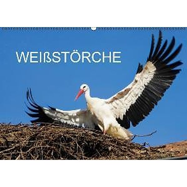 Weißstörche CH-Version (Wandkalender 2016 DIN A2 quer), Anette Jäger