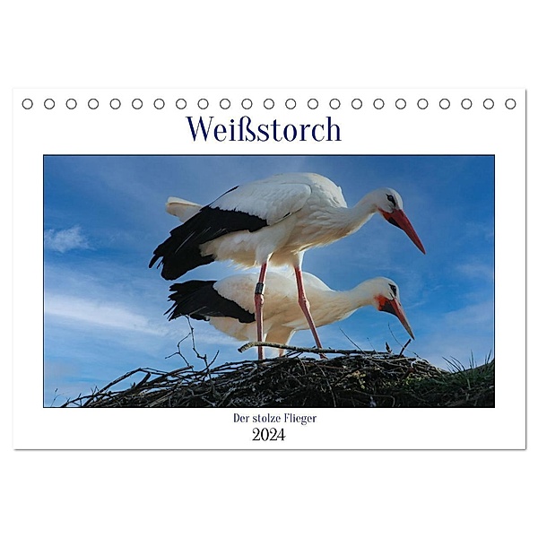 Weissstorch, der stolze Flieger (Tischkalender 2024 DIN A5 quer), CALVENDO Monatskalender, Mirjam Geggier