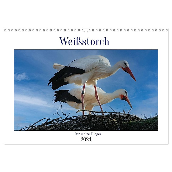 Weißstorch, der stolze Flieger (Wandkalender 2024 DIN A3 quer), CALVENDO Monatskalender, Mirjam Geggier