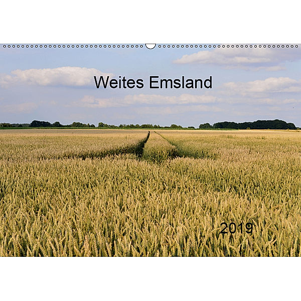 Weites Emsland (Wandkalender 2019 DIN A2 quer), Heinz Wösten