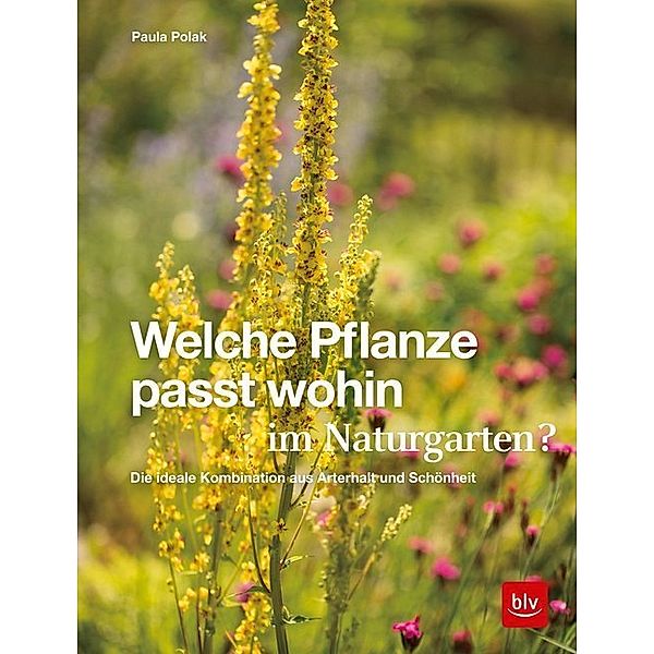 Welche Pflanze passt wohin im Naturgarten?, Paula Polak