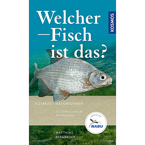Welcher Fisch ist das?, Matthias Bergbauer