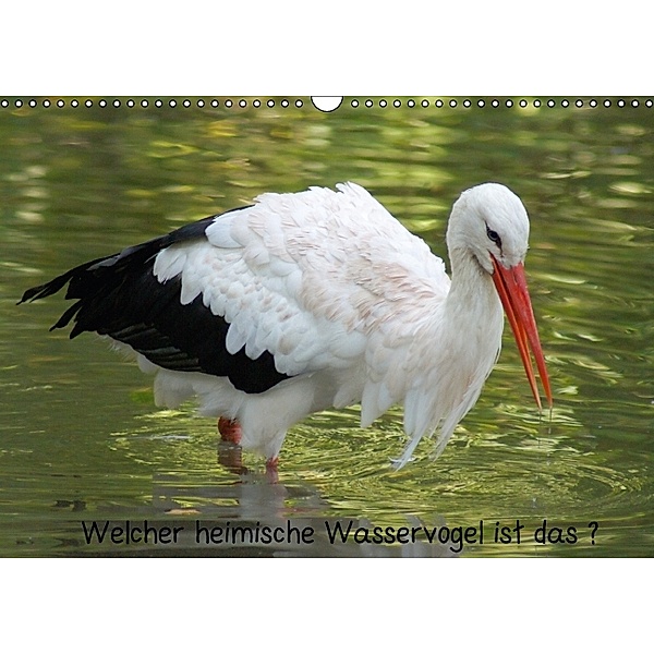 Welcher heimische Wasservogel ist das ? (Posterbuch DIN A4 quer), Kattobello