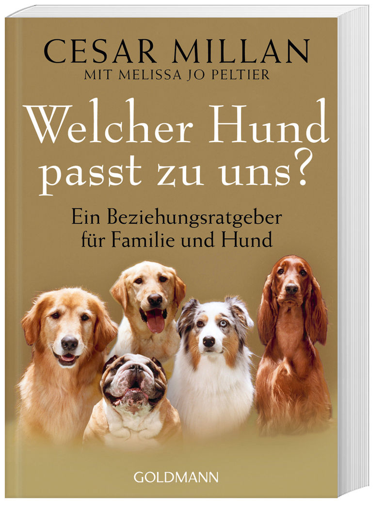 Welcher Hund passt zu uns? Buch bei Weltbild.ch online bestellen