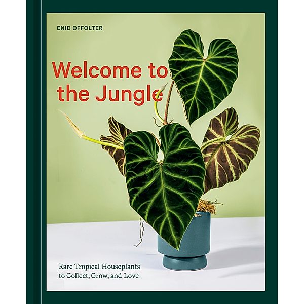 Welcome to the Jungle, Enid Offolter