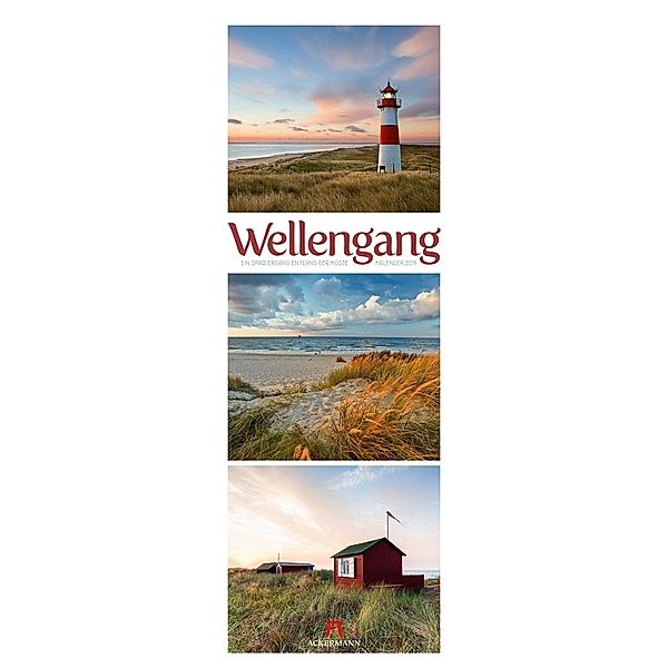 Wellengang 2019