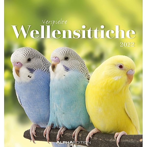 Wellensittiche 2022 - Postkartenkalender 16x17 cm - Budgies - zum Aufstellen oder Aufhängen - Geschenk-Idee - Gadget - A