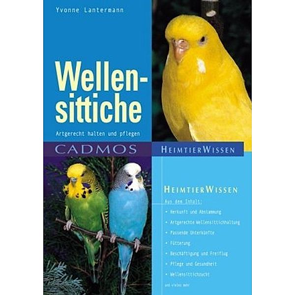 Wellensittiche, Yvonne Lantermann