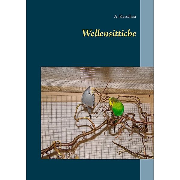 Wellensittiche, A. Ketschau