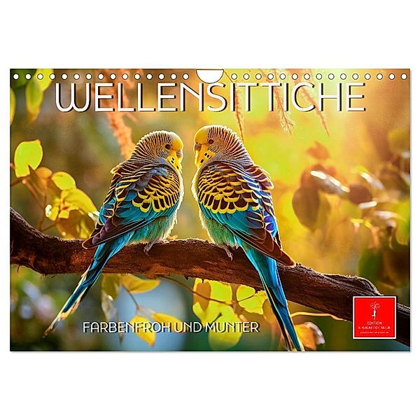 Wellensittiche farbenfroh und munter (Wandkalender 2025 DIN A4 quer), CALVENDO Monatskalender, Calvendo, Peter Roder