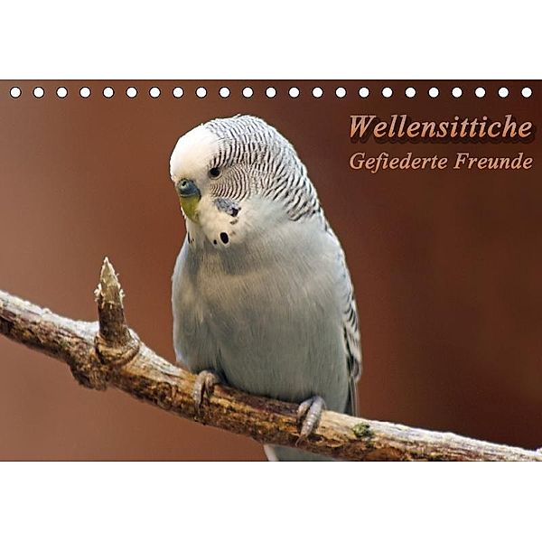 Wellensittiche - Gefiederte Freunde (Tischkalender 2017 DIN A5 quer), Barbara Mielewczyk