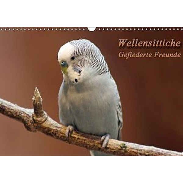 Wellensittiche - Gefiederte Freunde (Wandkalender 2014 DIN A3 quer), Barbara Mielewczyk