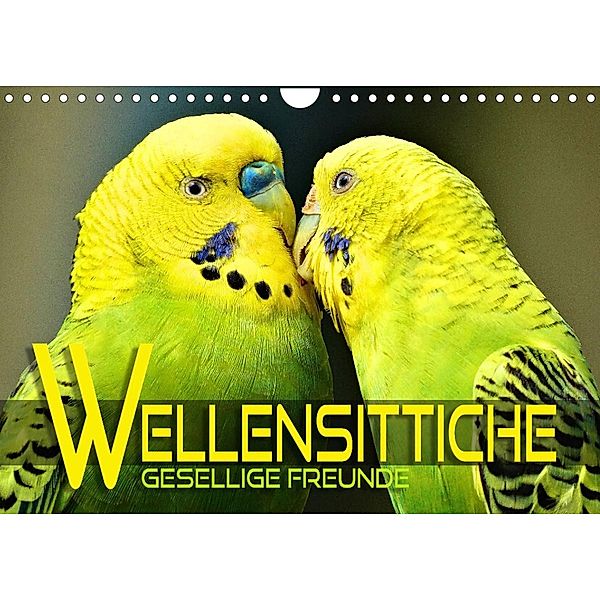 Wellensittiche - gesellige Freunde (Wandkalender 2023 DIN A4 quer), Renate Utz