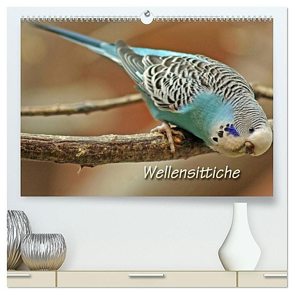 Wellensittiche (hochwertiger Premium Wandkalender 2024 DIN A2 quer), Kunstdruck in Hochglanz, Barbara Mielewczyk