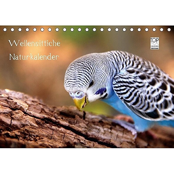 Wellensittiche - Naturkalender (Tischkalender 2017 DIN A5 quer), Björn Bergmann