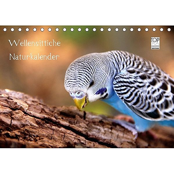 Wellensittiche - Naturkalender (Tischkalender 2018 DIN A5 quer), Björn Bergmann