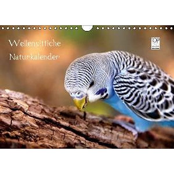 Wellensittiche - Naturkalender (Wandkalender 2016 DIN A4 quer), Björn Bergmann