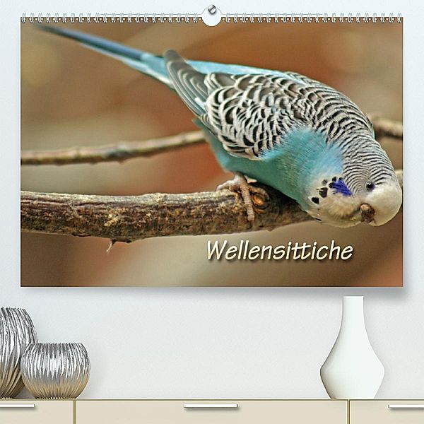 Wellensittiche (Premium-Kalender 2020 DIN A2 quer), Barbara Mielewczyk