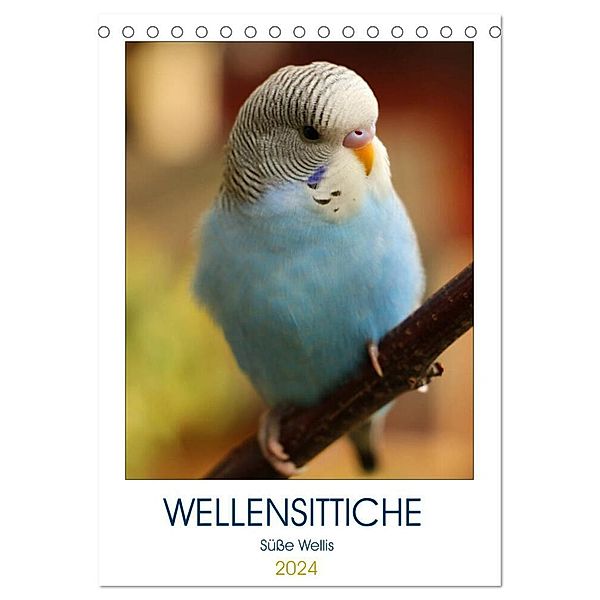 WELLENSITTICHE - Süsse Wellis (Tischkalender 2024 DIN A5 hoch), CALVENDO Monatskalender, Björn Bergmann