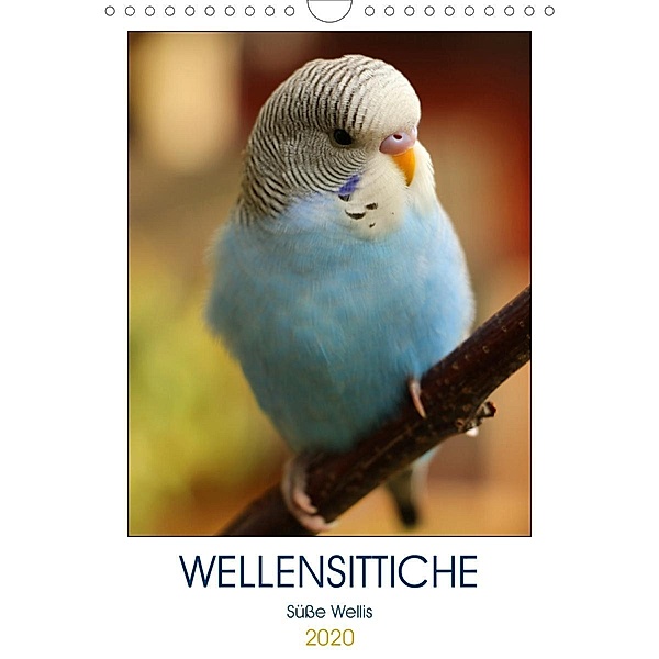 WELLENSITTICHE - Süße Wellis (Wandkalender 2020 DIN A4 hoch), Björn Bergmann