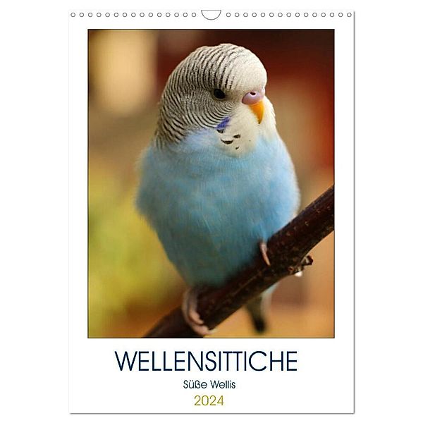 WELLENSITTICHE - Süsse Wellis (Wandkalender 2024 DIN A3 hoch), CALVENDO Monatskalender, Björn Bergmann