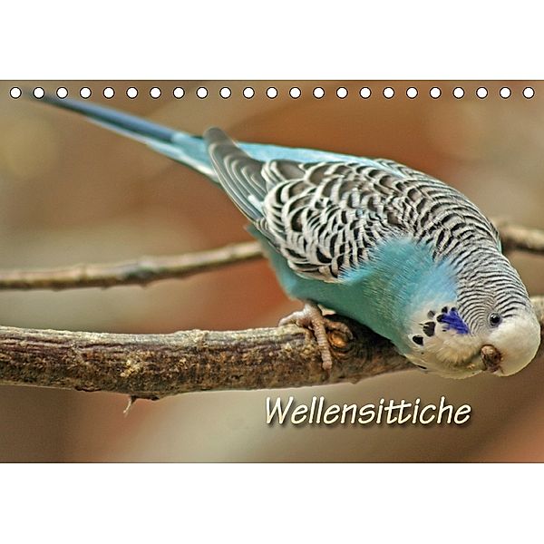 Wellensittiche (Tischkalender 2018 DIN A5 quer), Barbara Mielewczyk