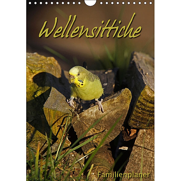 Wellensittiche (Wandkalender 2019 DIN A4 hoch), Martina Berg