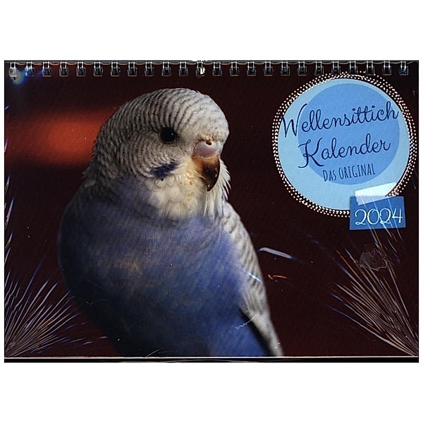 Wellensittichkalender! - Das Original (Tischkalender 2024 DIN A5 quer), CALVENDO Monatskalender, Calvendo, Björn Bergmann