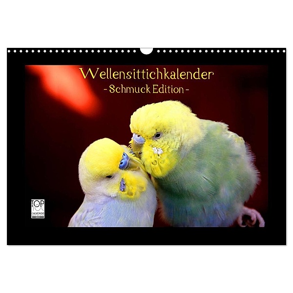 Wellensittichkalender - Schmuck Edition (Wandkalender 2024 DIN A3 quer), CALVENDO Monatskalender, Björn Bergmann