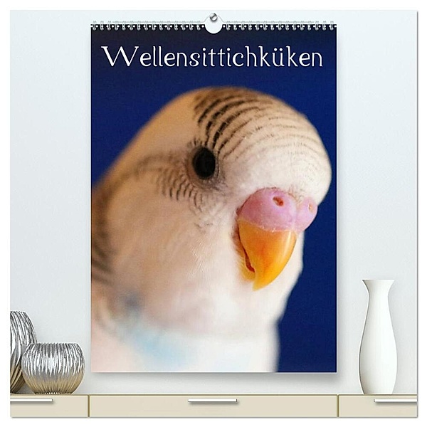 Wellensittichküken (hochwertiger Premium Wandkalender 2024 DIN A2 hoch), Kunstdruck in Hochglanz, Björn Bergmann