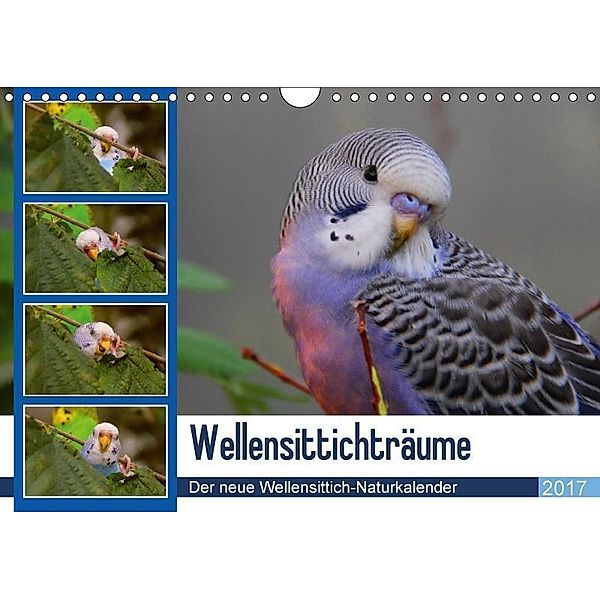 Wellensittichträume - Der neue Wellensittich-Naturkalender (Wandkalender 2017 DIN A4 quer), Björn Bergmann