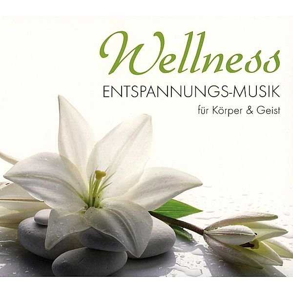 Wellness-Entspannungs-Musik Für Körper & Geist, Diverse Interpreten