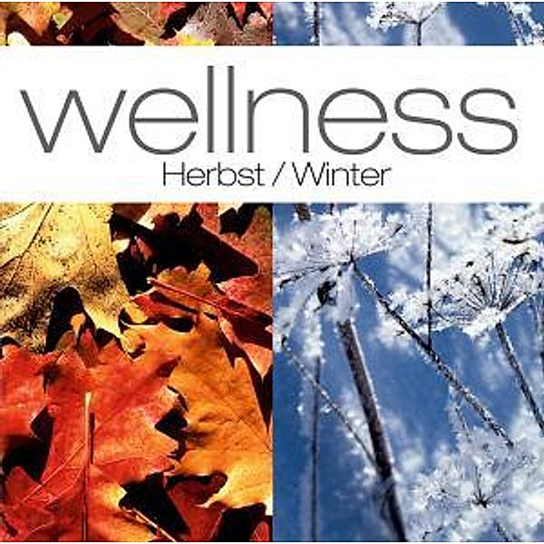 Wellness: Herbst-Winter, Diverse Interpreten